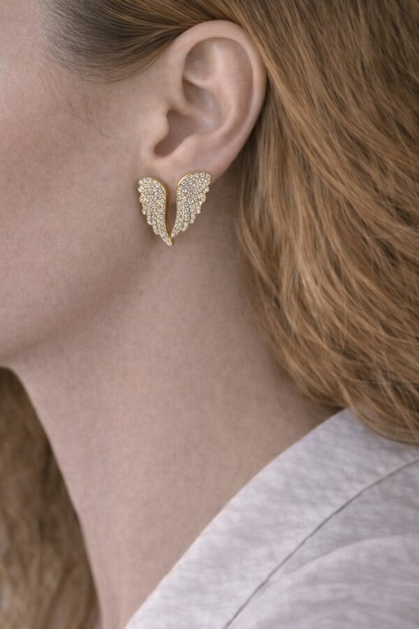 Σκουλαρίκια από ατσάλι σε σχήμα φτερών.