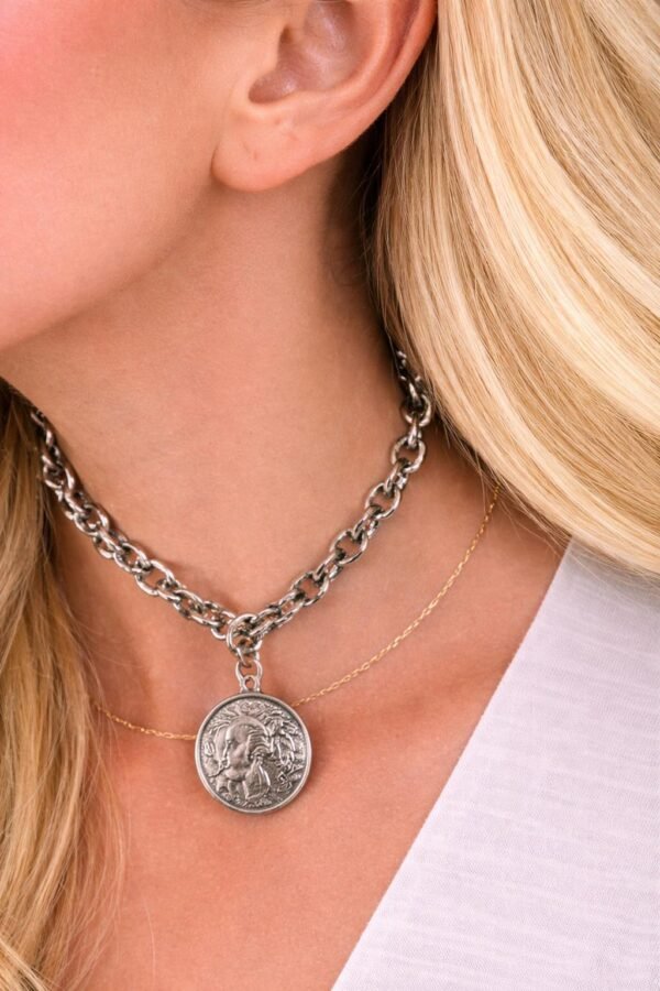 viber_image_2026-02-02_12-43-24-637 Κολιέ από ανοξείδωτο ατσάλι με αλυσίδα